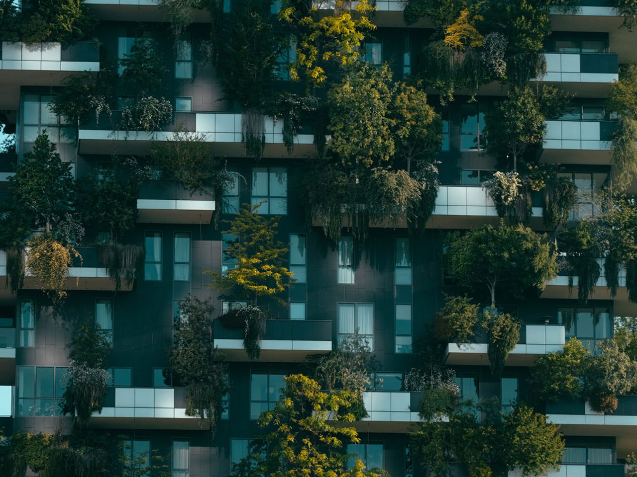 Hotel Mentana - Sostenibilità 3 Hotel Mentana - Sostenibilità 3