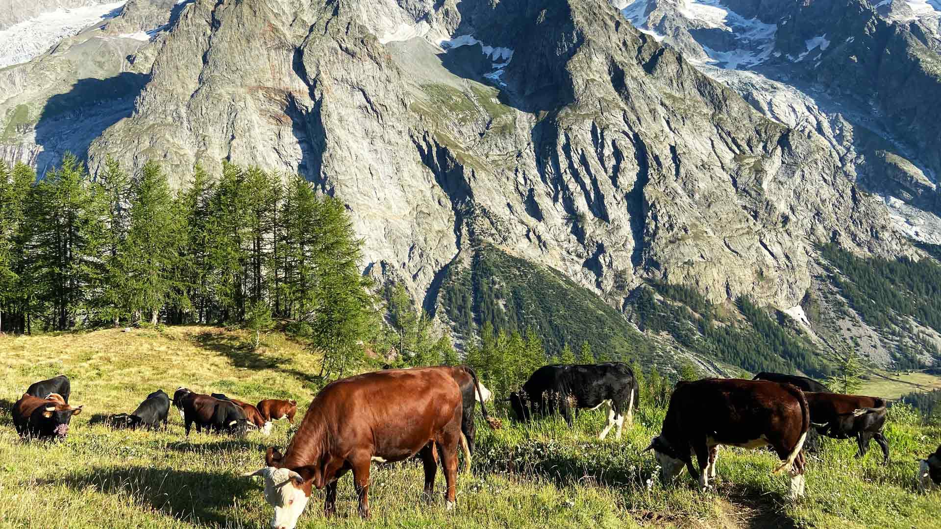 Grand Hotel Courmayeur - Attività estive 18