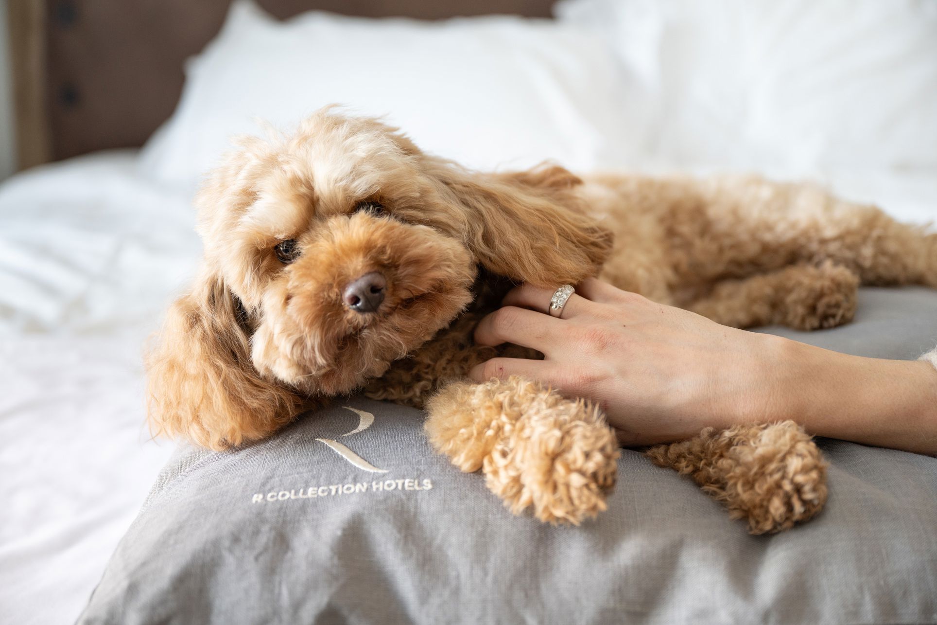 Grand Hotel Bristol - Servizi esclusivi 9