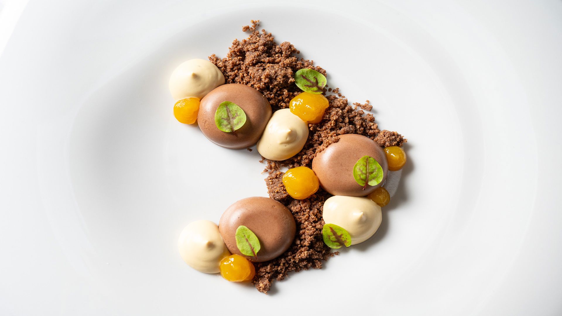 Montana Lodge & Spa - Services 12