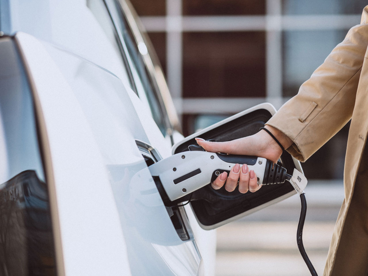 Exclusive Services 3