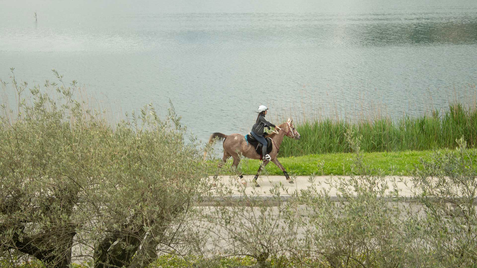 Attività ed Esperienze 9 Attività ed Esperienze 9