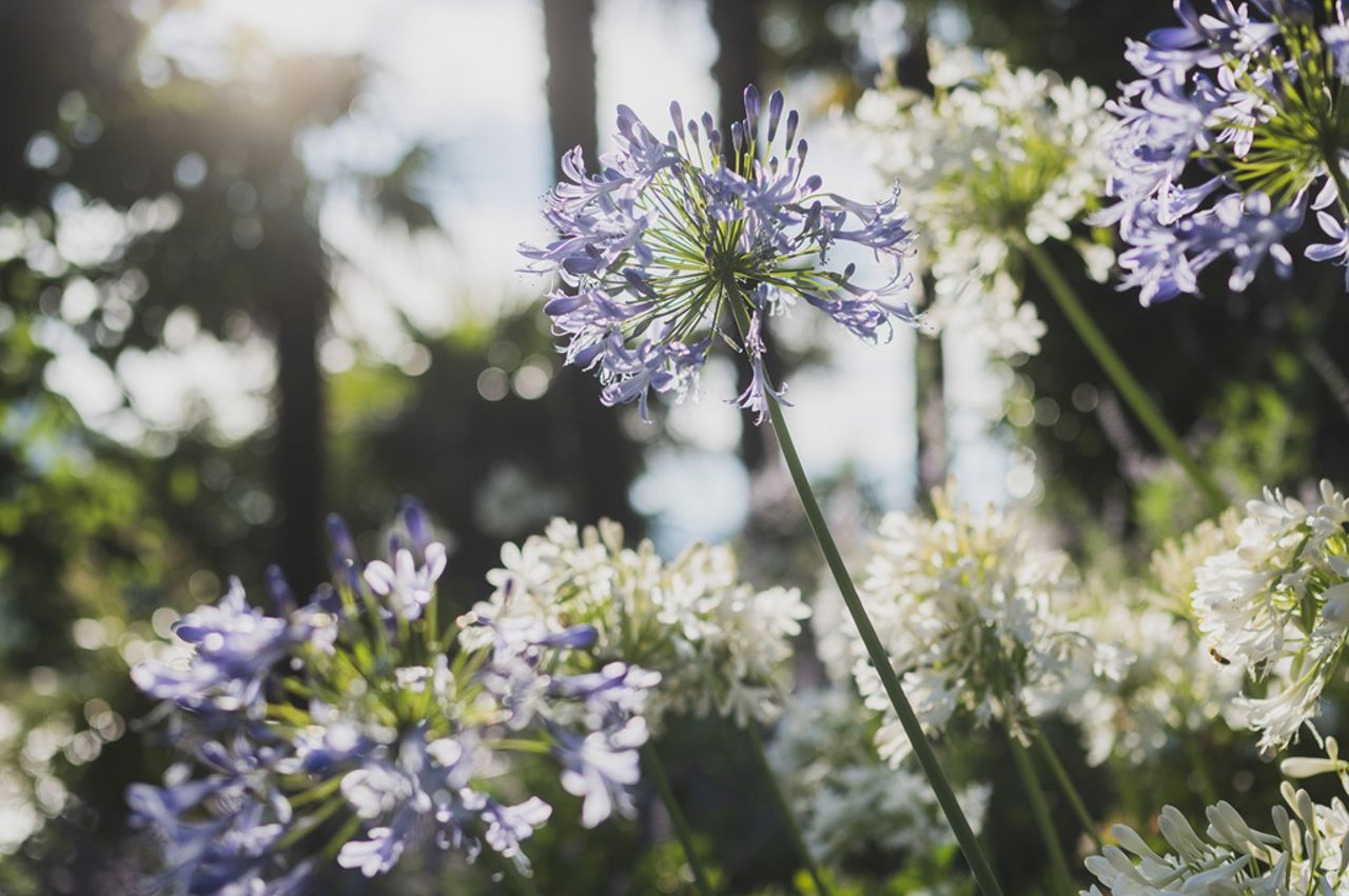 Hotel Villa Cipressi - Gallery 20