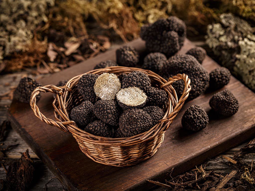 1024-Truffle1.jpg