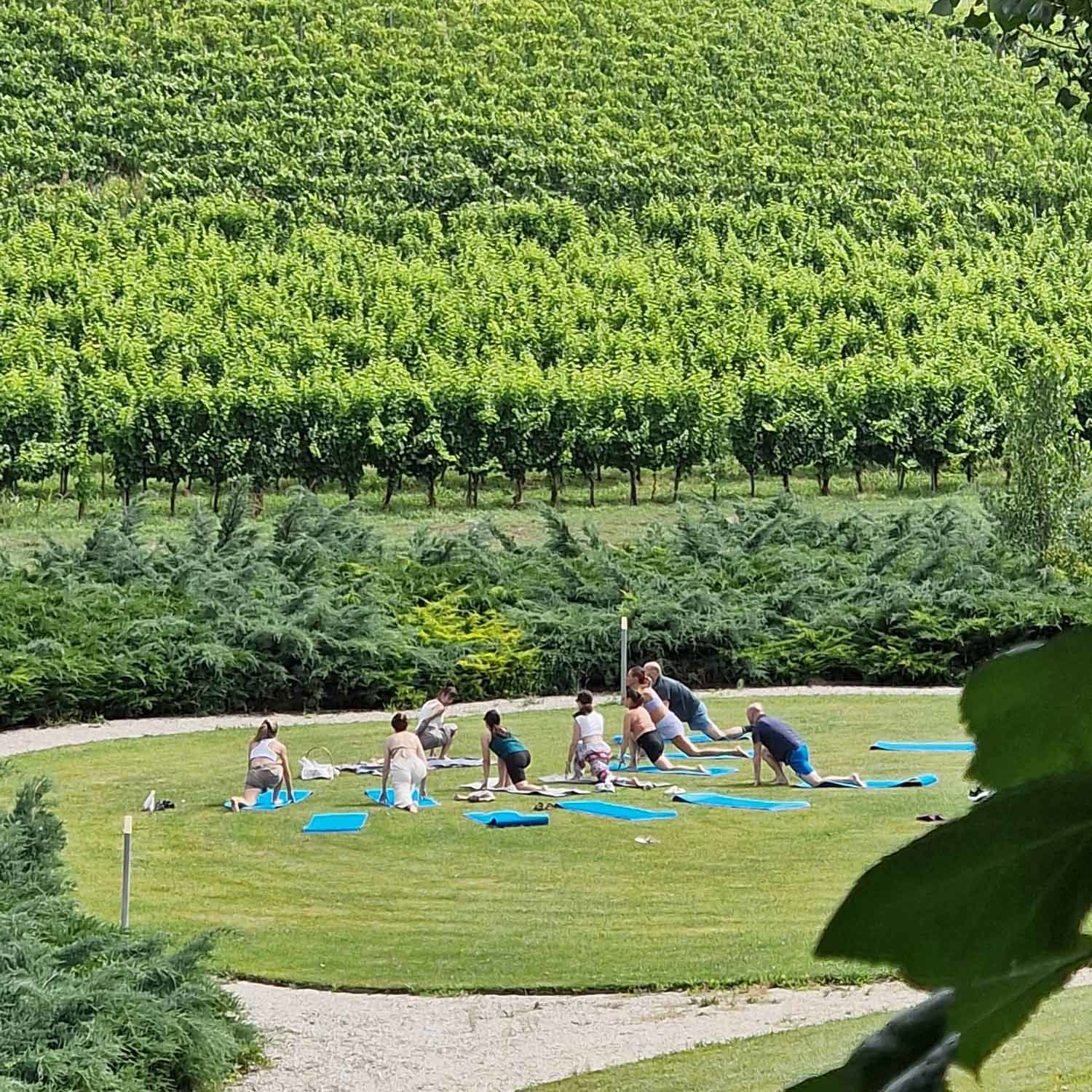 Reva Monforte - Esperienze 4