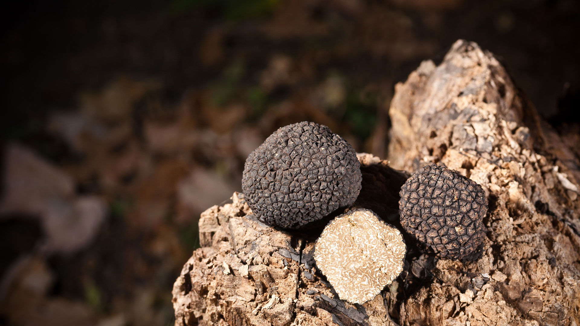 Reva Monforte - Esperienze 4