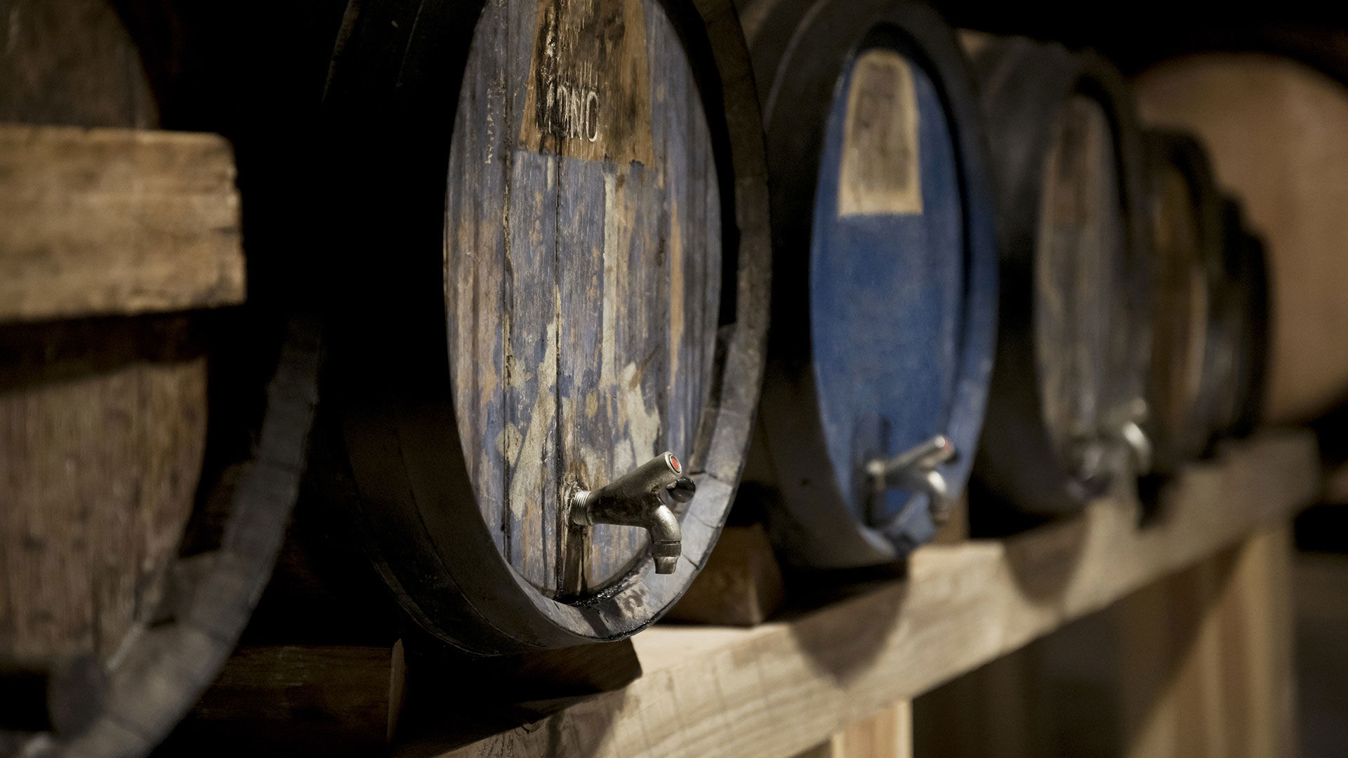 Reva Monforte - Esperienze 3