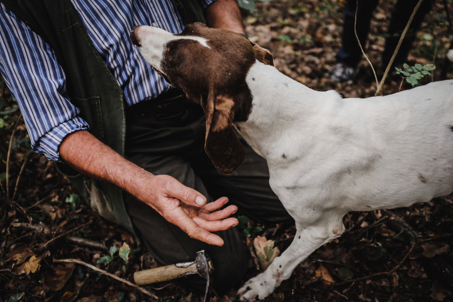 Reva Monforte - Esperienze 2