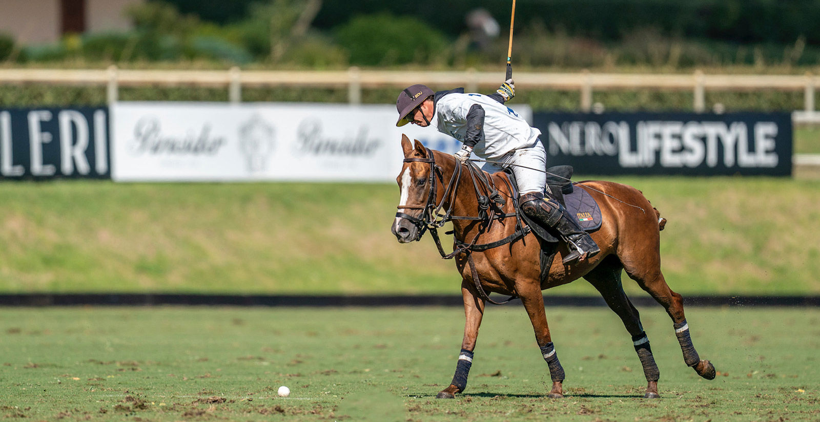 VAS Gold Cup 2020 event