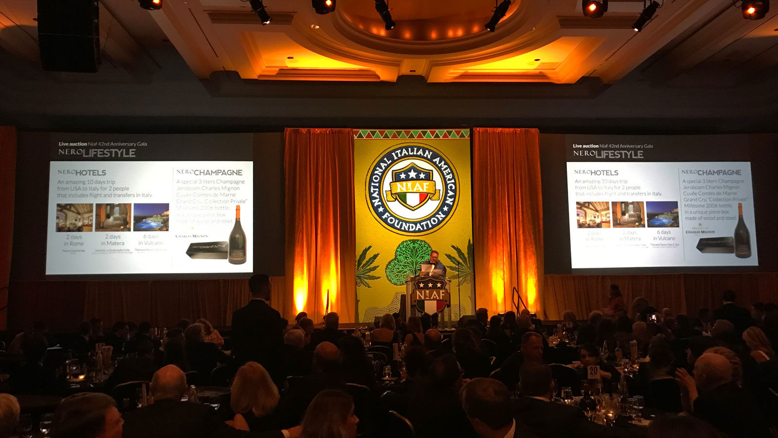 NIAF Anniversary Gala 2017