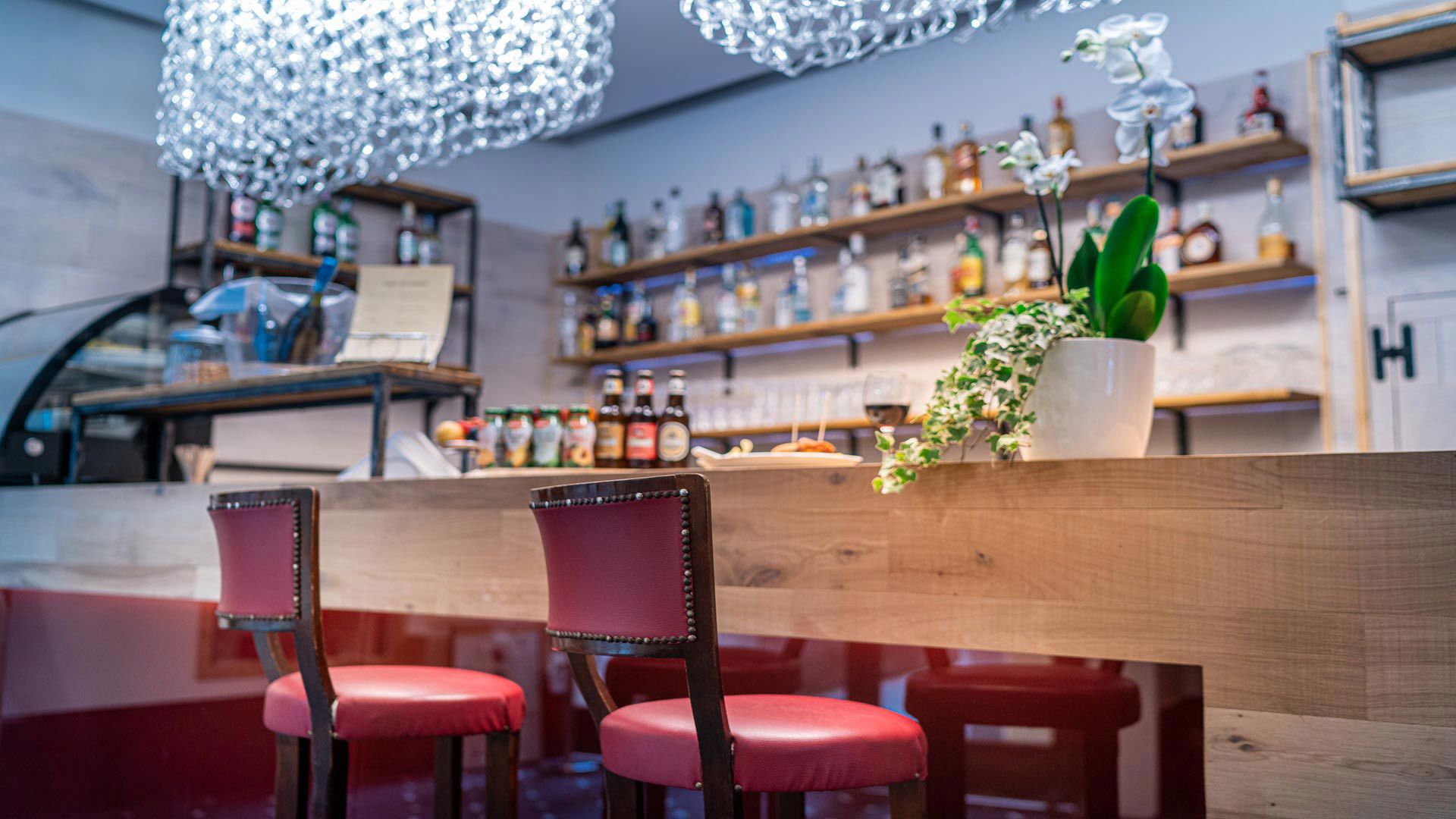 AllAngelo Art Café