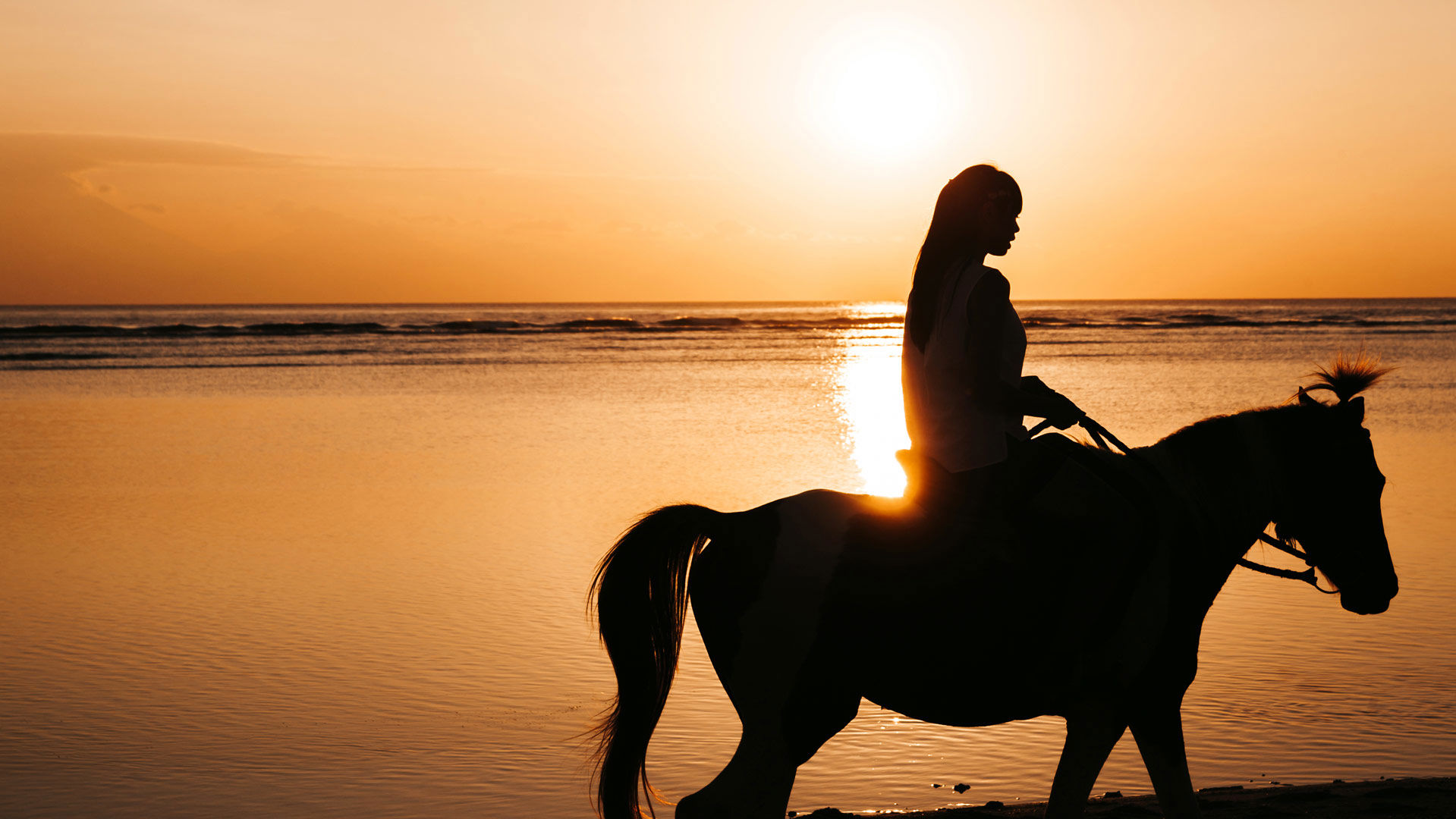 Horseback riding 3