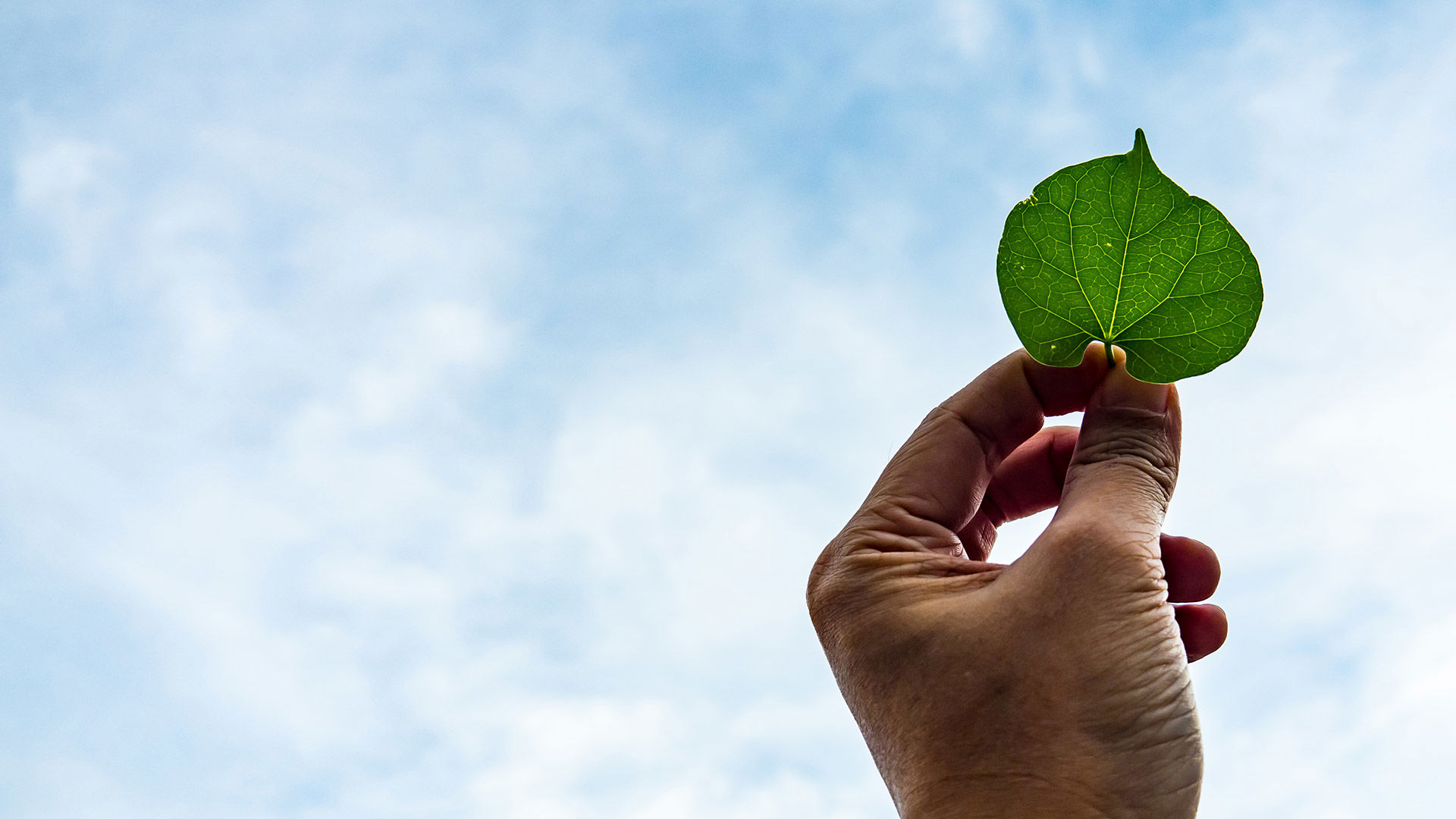 Hotel Regina - Responsible Social Action 5