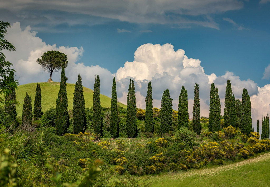 gallery/toscana-esperienze.jpg gallery/toscana-esperienze.jpg