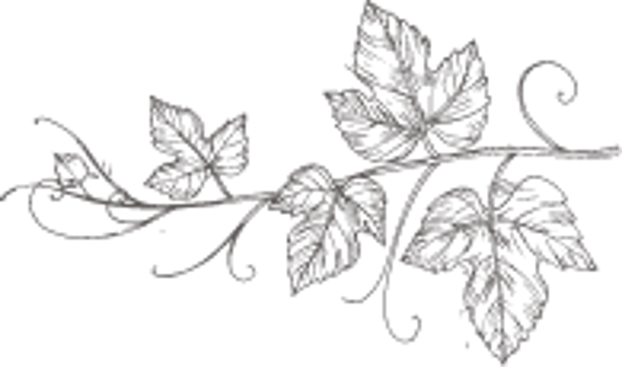 Hotel Bramante Todi 3 Hotel Bramante Todi 3