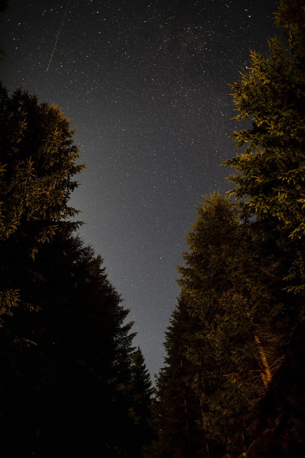 Hotel Bramante Todi 12 Hotel Bramante Todi 12