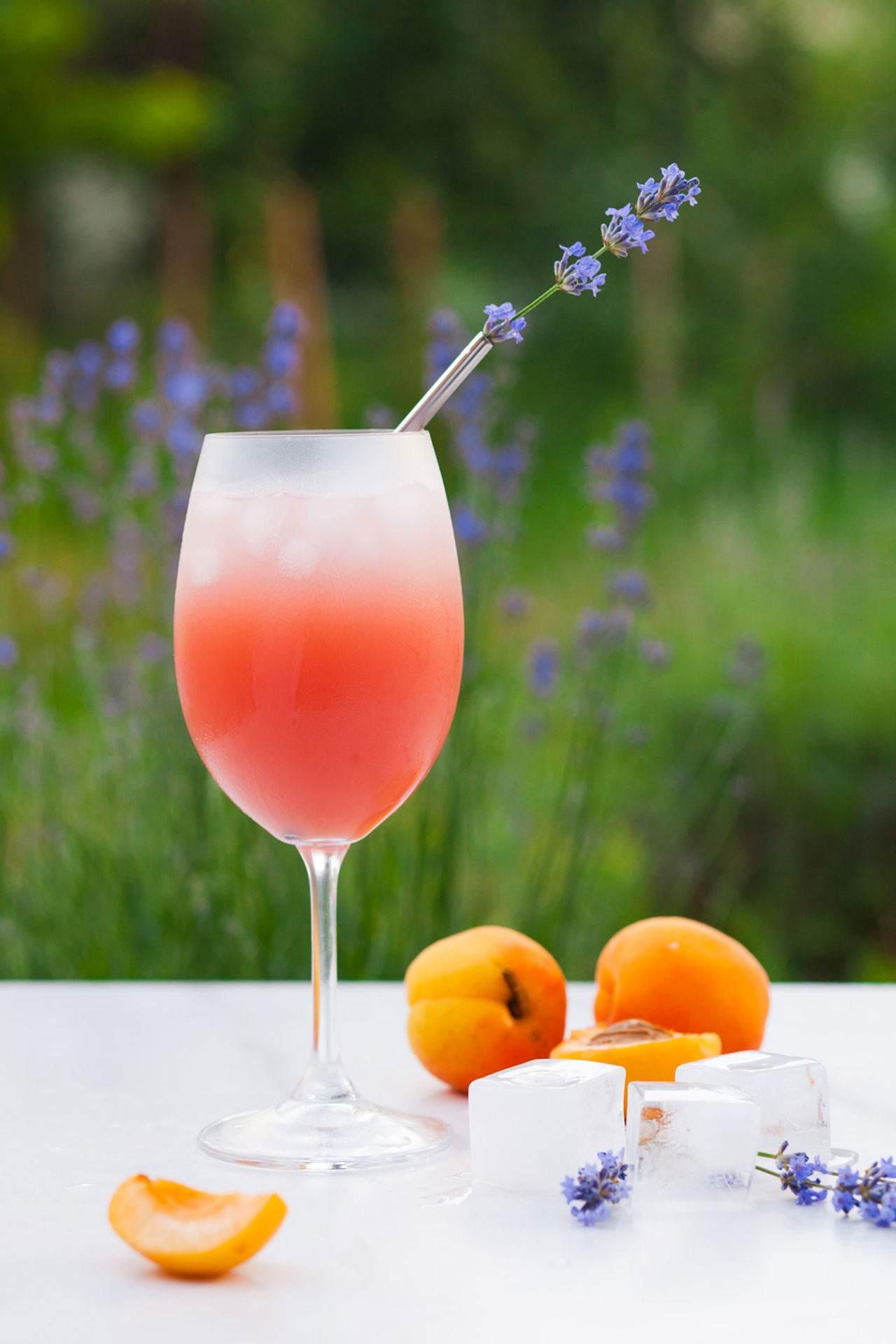 Hotel Bramante Todi 12 Hotel Bramante Todi 12