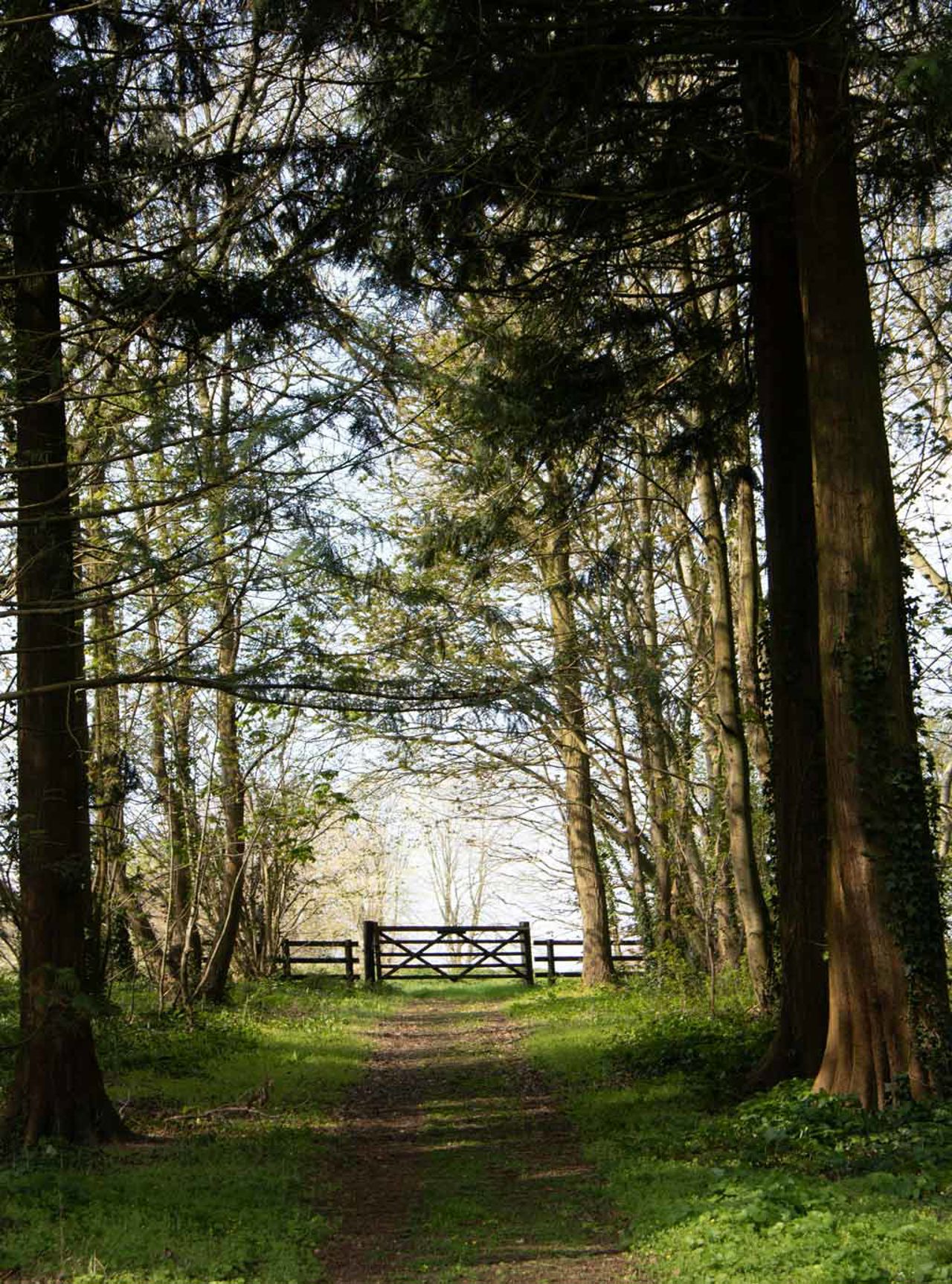 Hotel Bramante Todi 12 Hotel Bramante Todi 12