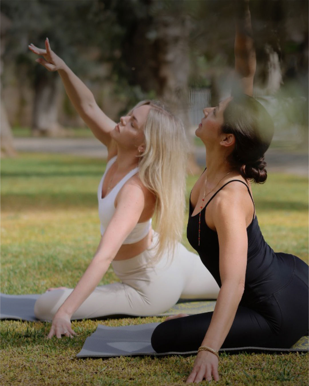 Wellness 4