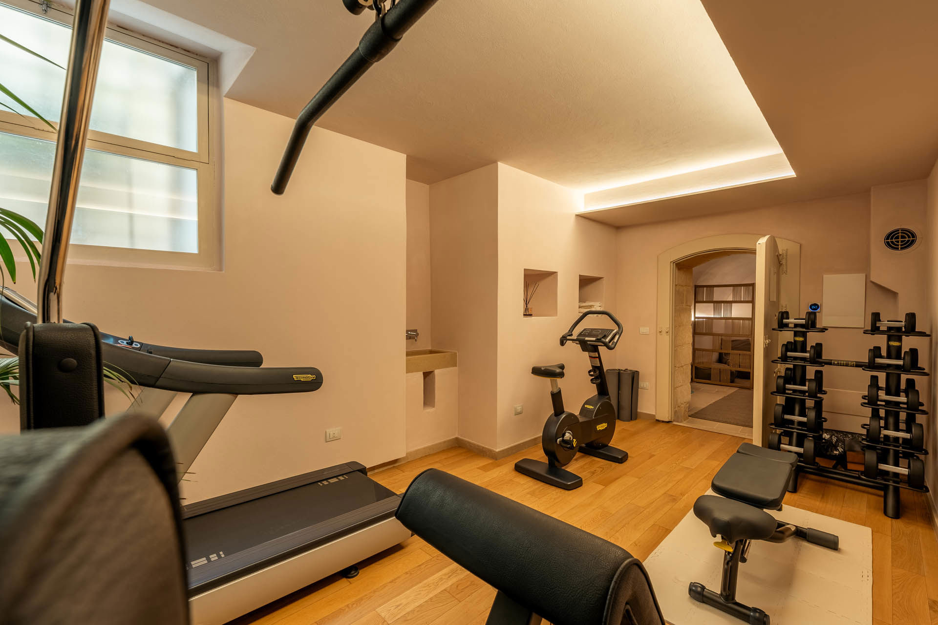 Private Gym 4