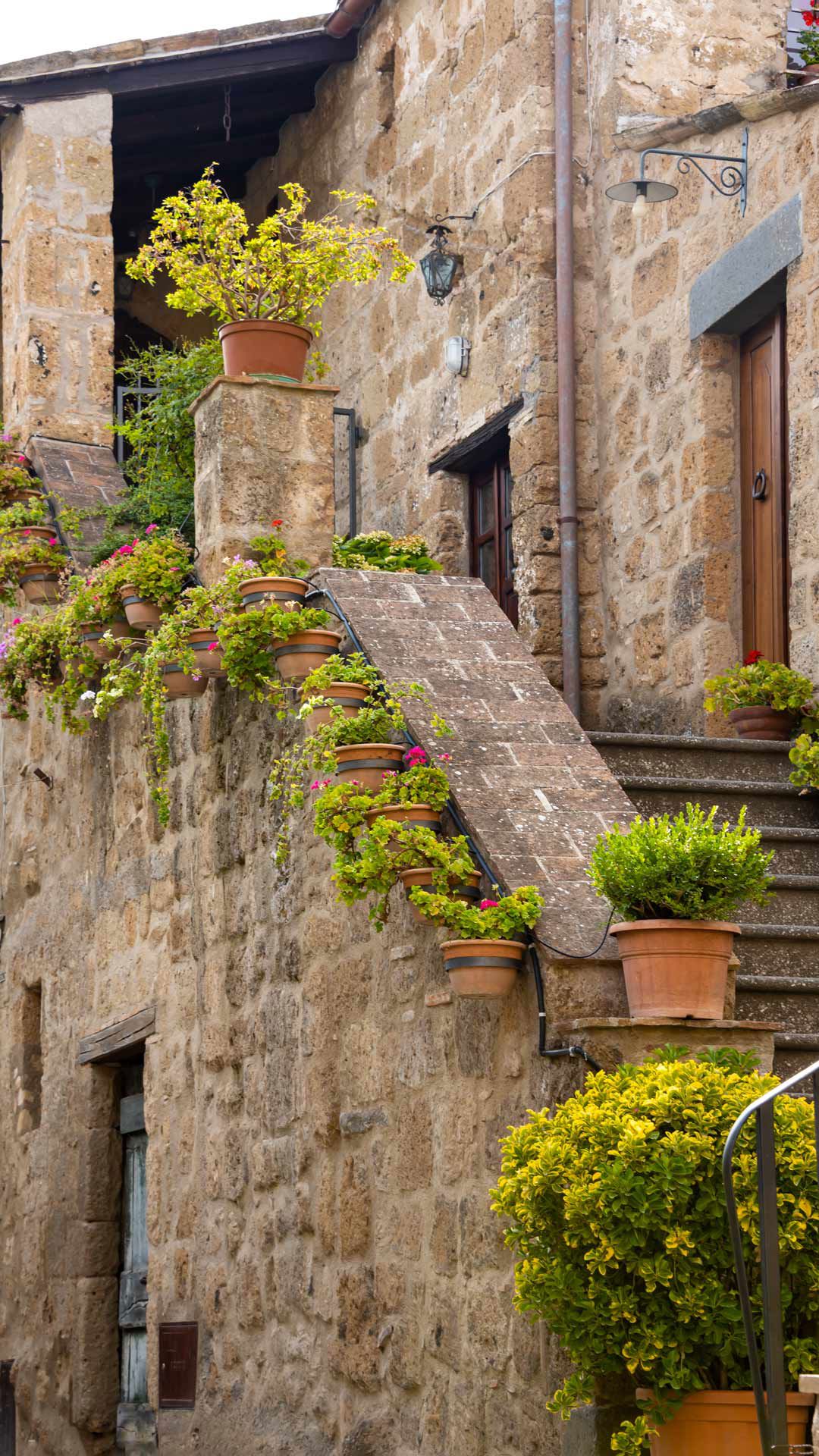 Dintorni 2 Dintorni 2