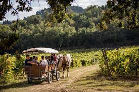 Tour in carrozza con degustazione 4
