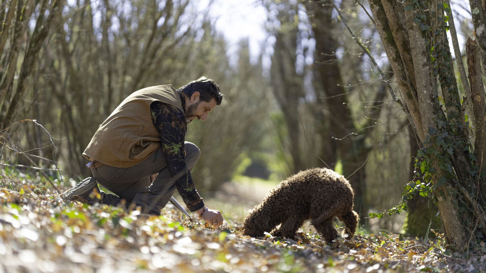 Ricerca del tartufo 2