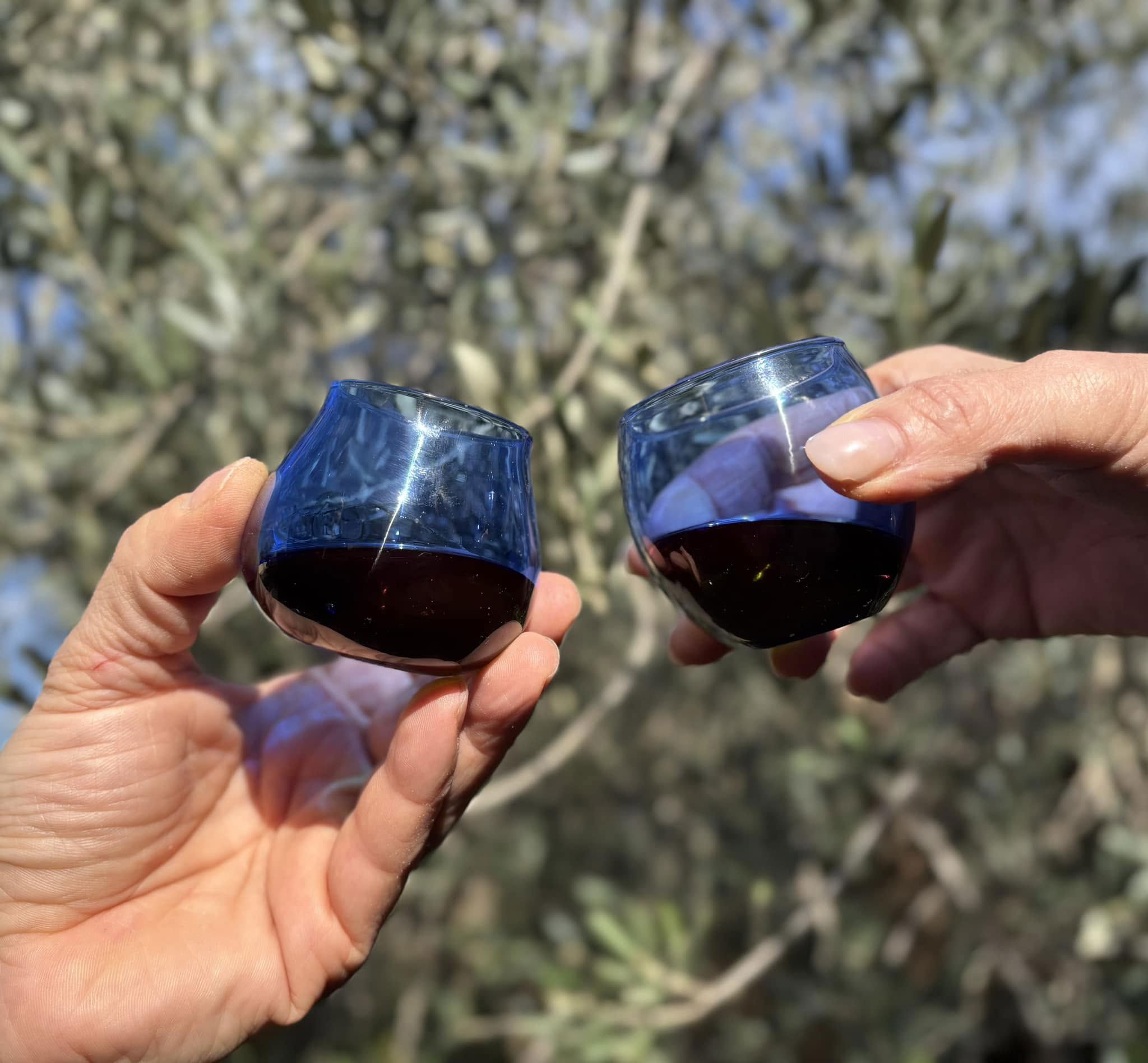 Copia Degustazioni in frantoio.. (ARTICOLI) 2