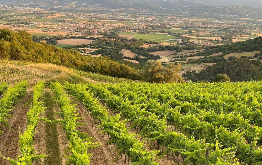 Le nostre Cantine 2