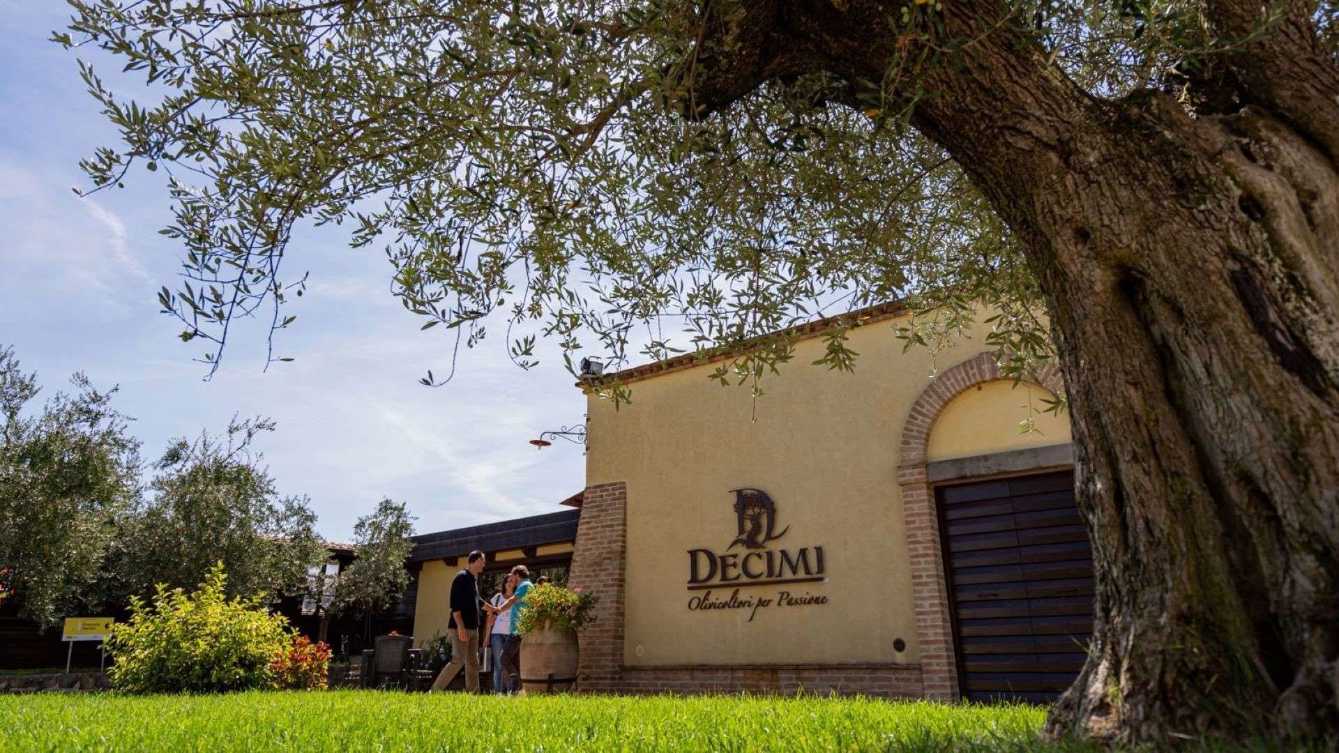 Visita guidata al Frantoio Decimi 2