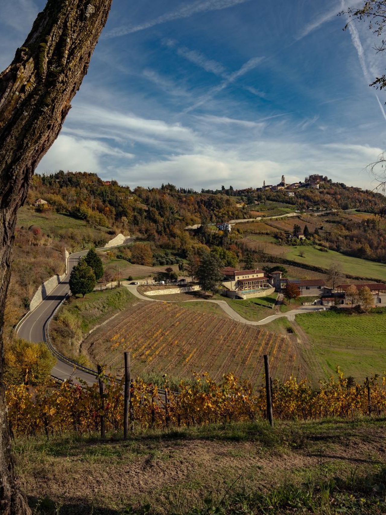 The Terroir