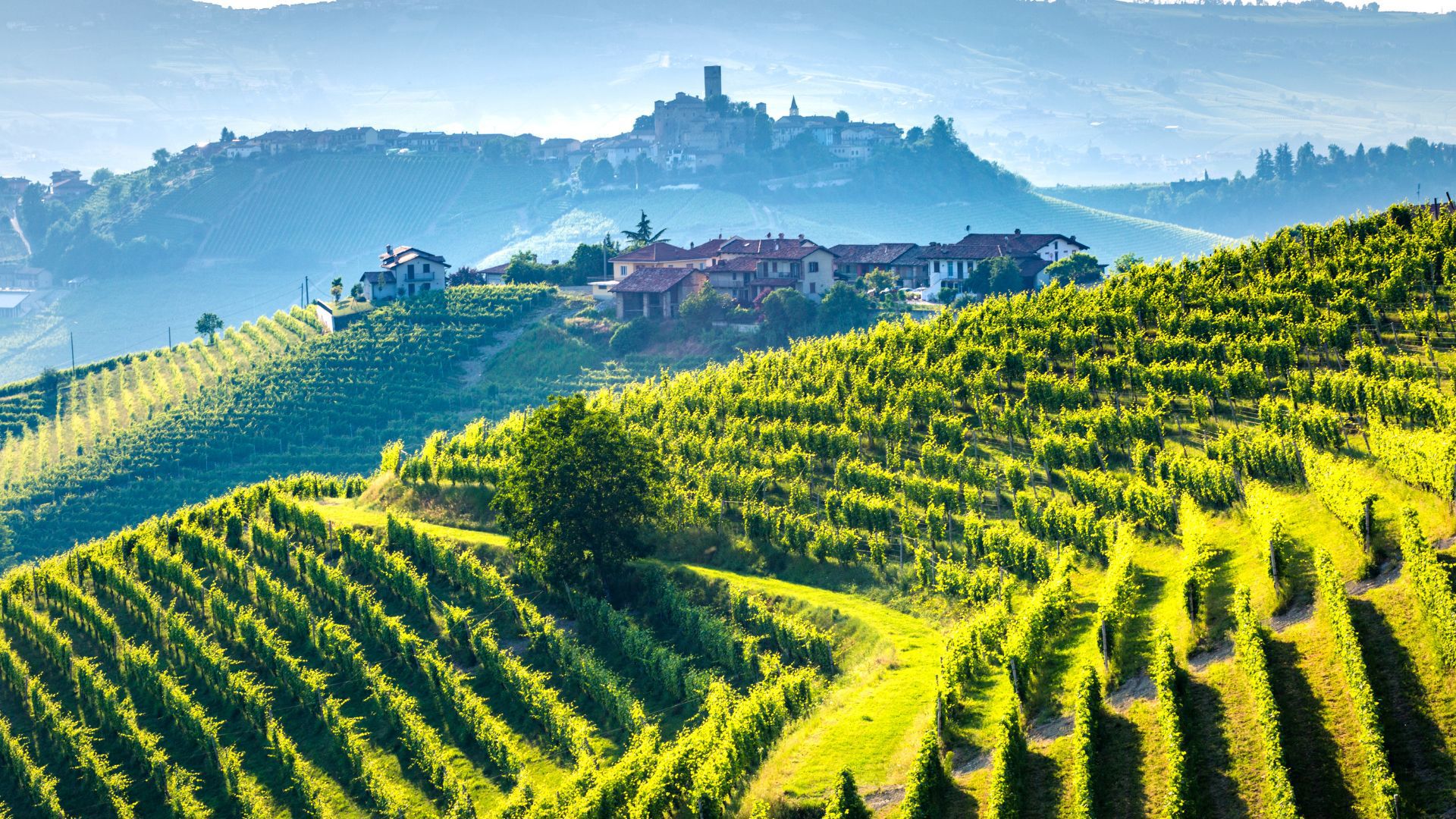 Vivere il Territorio