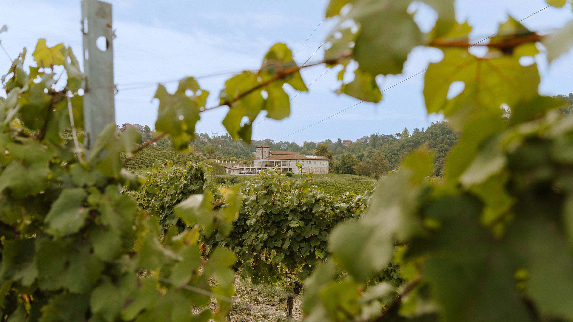 A Philosophy to Feel - Hemanaire is a way of experiencing wine. Wine is a way of experiencing Hemanaire.