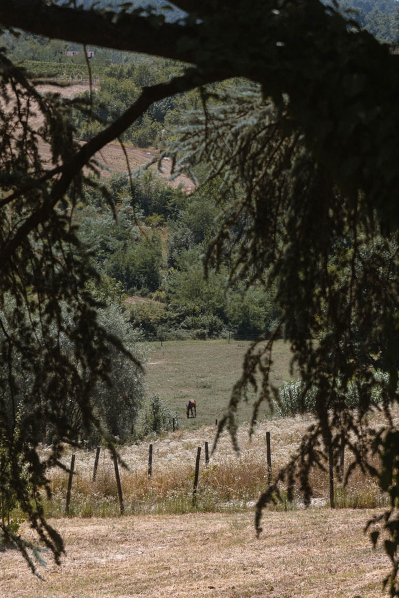 La Valle La Valle