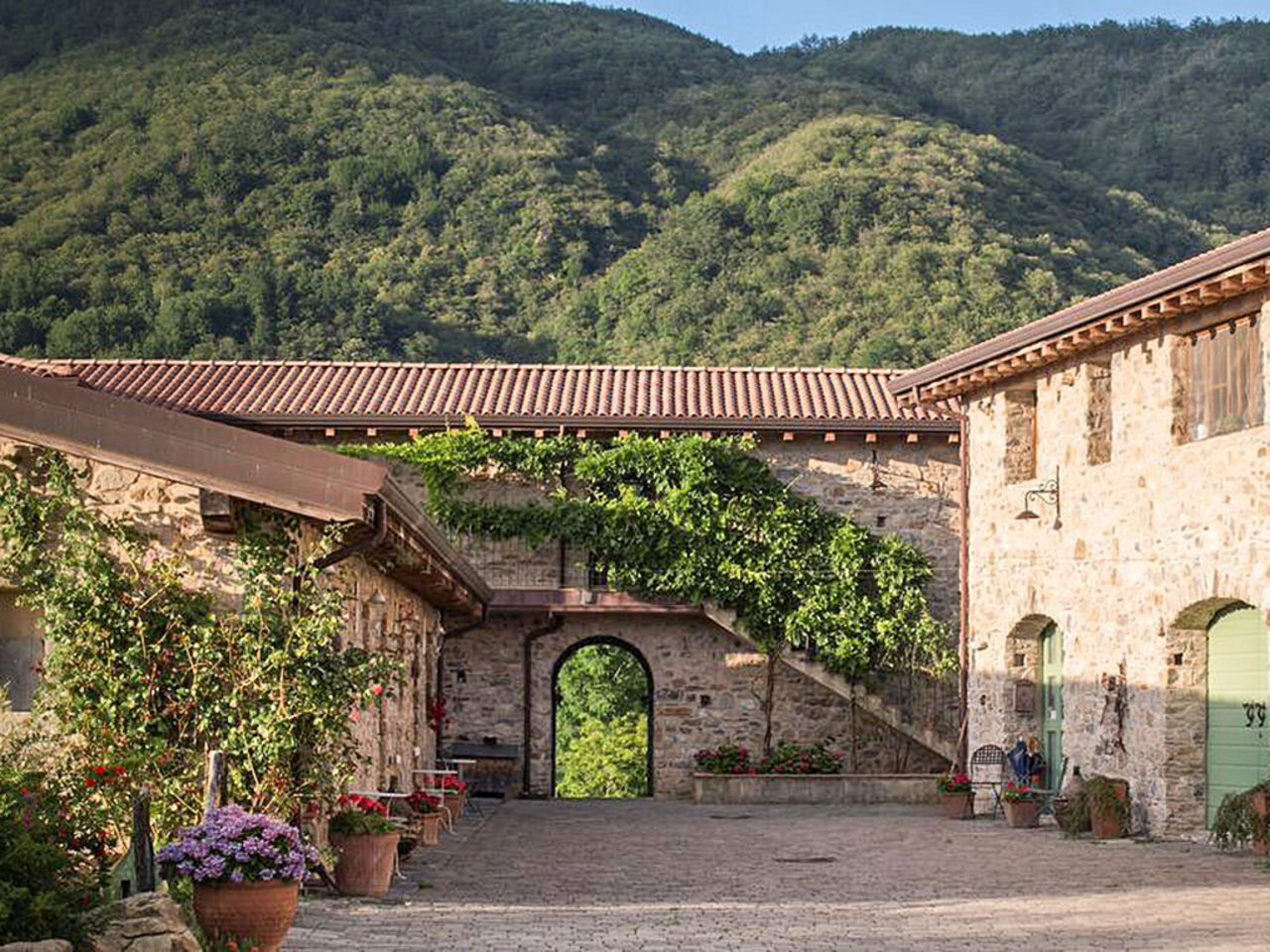 AZIENDA AGRICOLA CONTI CORNELIA VALLANCE — foto 3