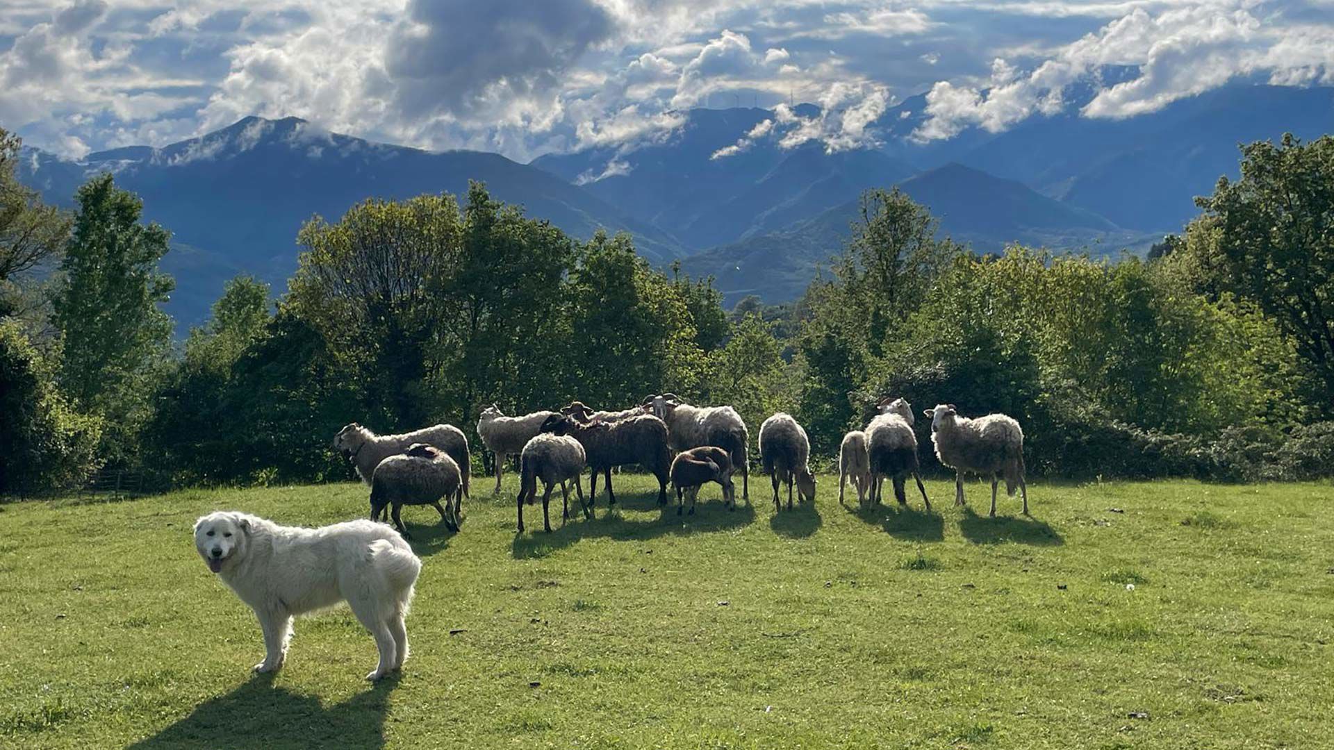 Azienda Agricola Biologica 7