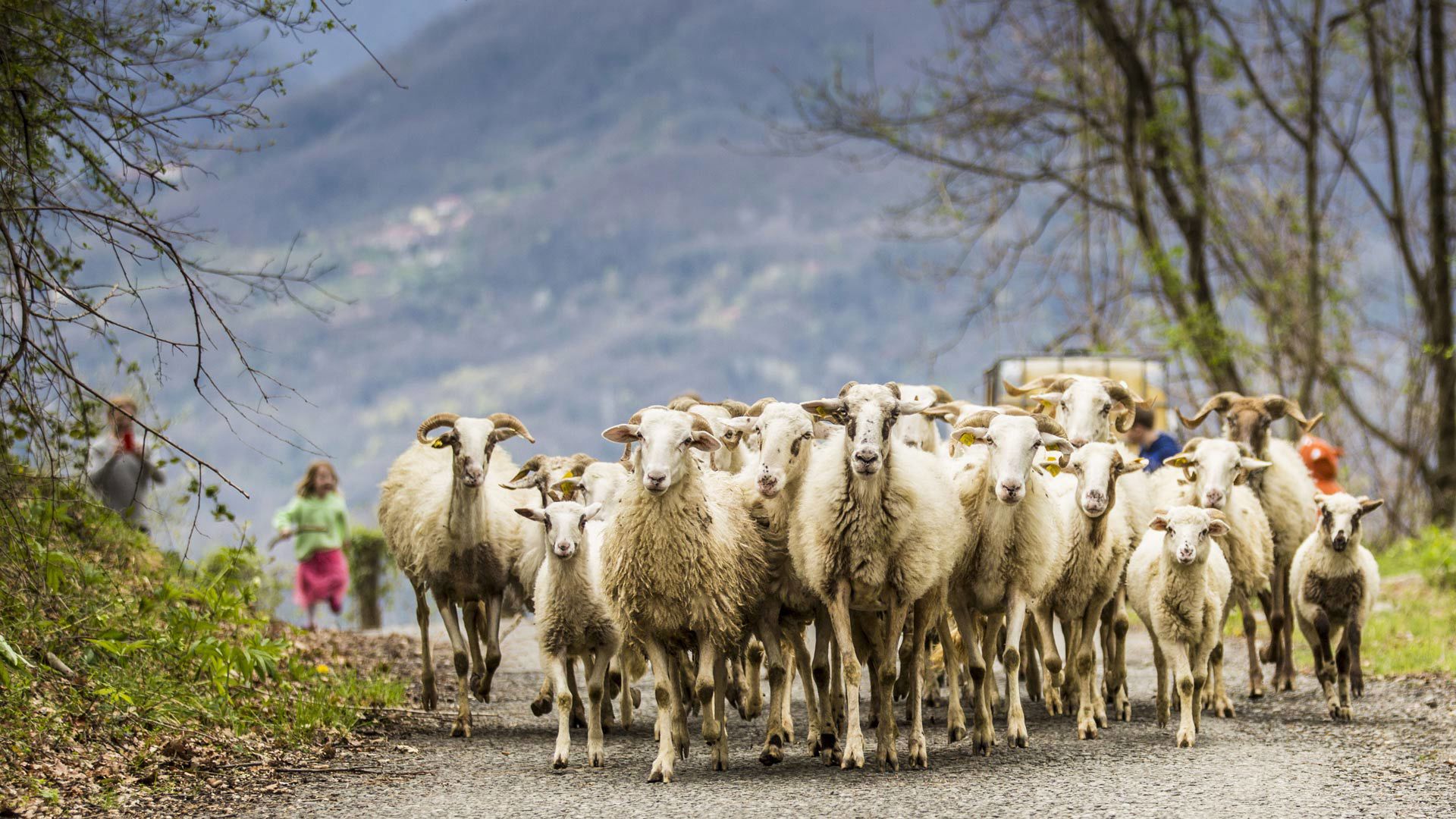 Azienda Agricola Biologica 1