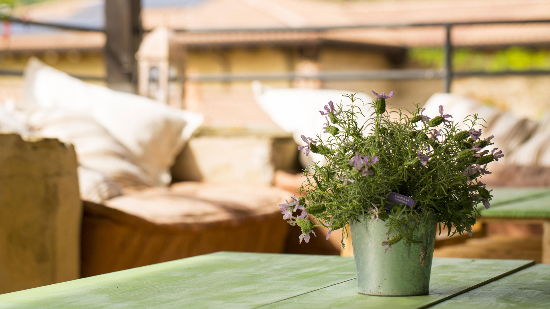 Facilities & Services 2