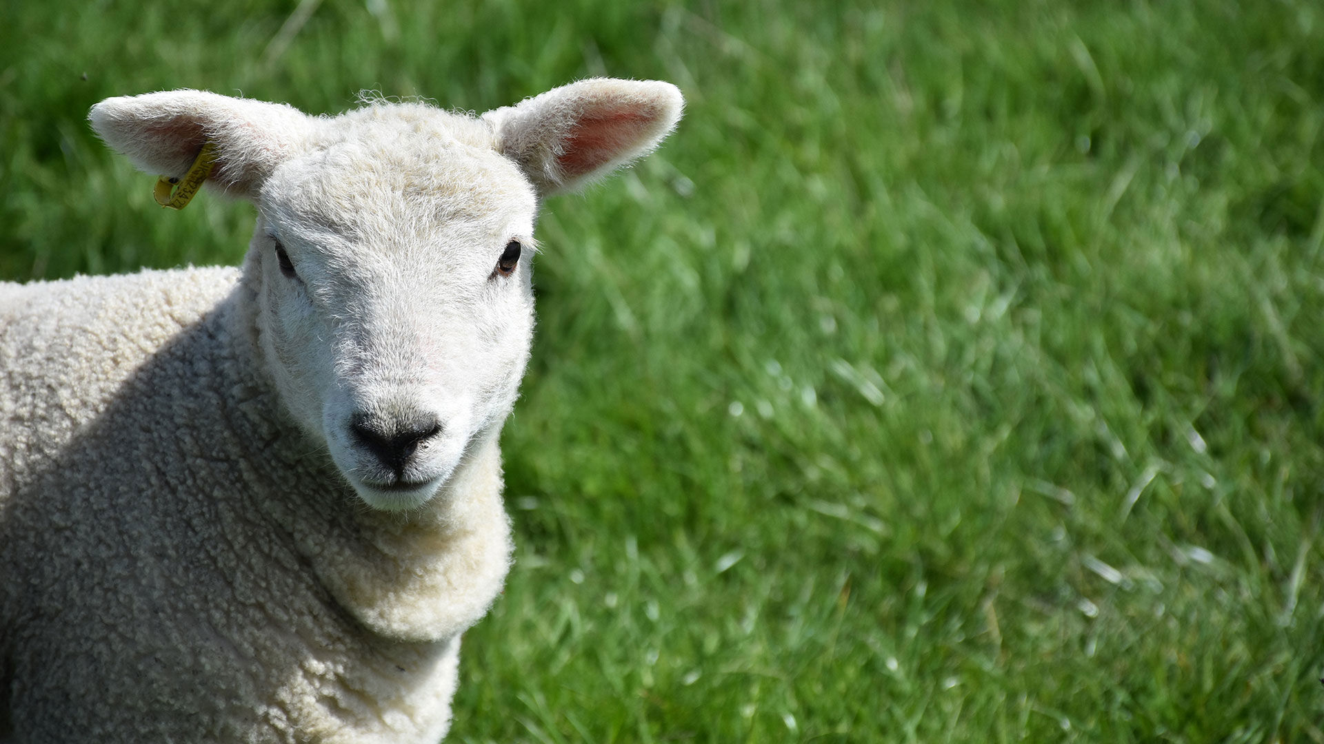 Azienda Agricola Bio 2