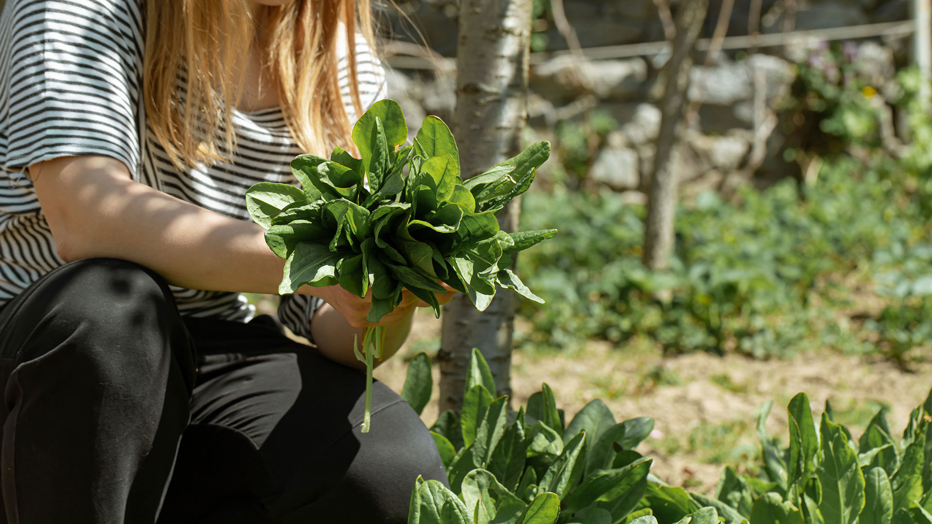 Azienda Agricola Bio 3