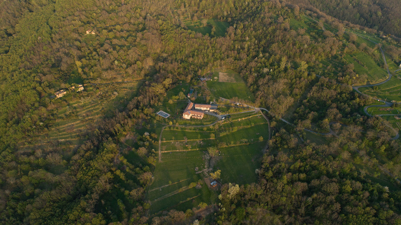AZIENDA AGRICOLA CONTI CORNELIA VALLANCE — foto 4