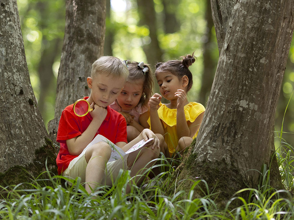 Bosco delle Favole 1