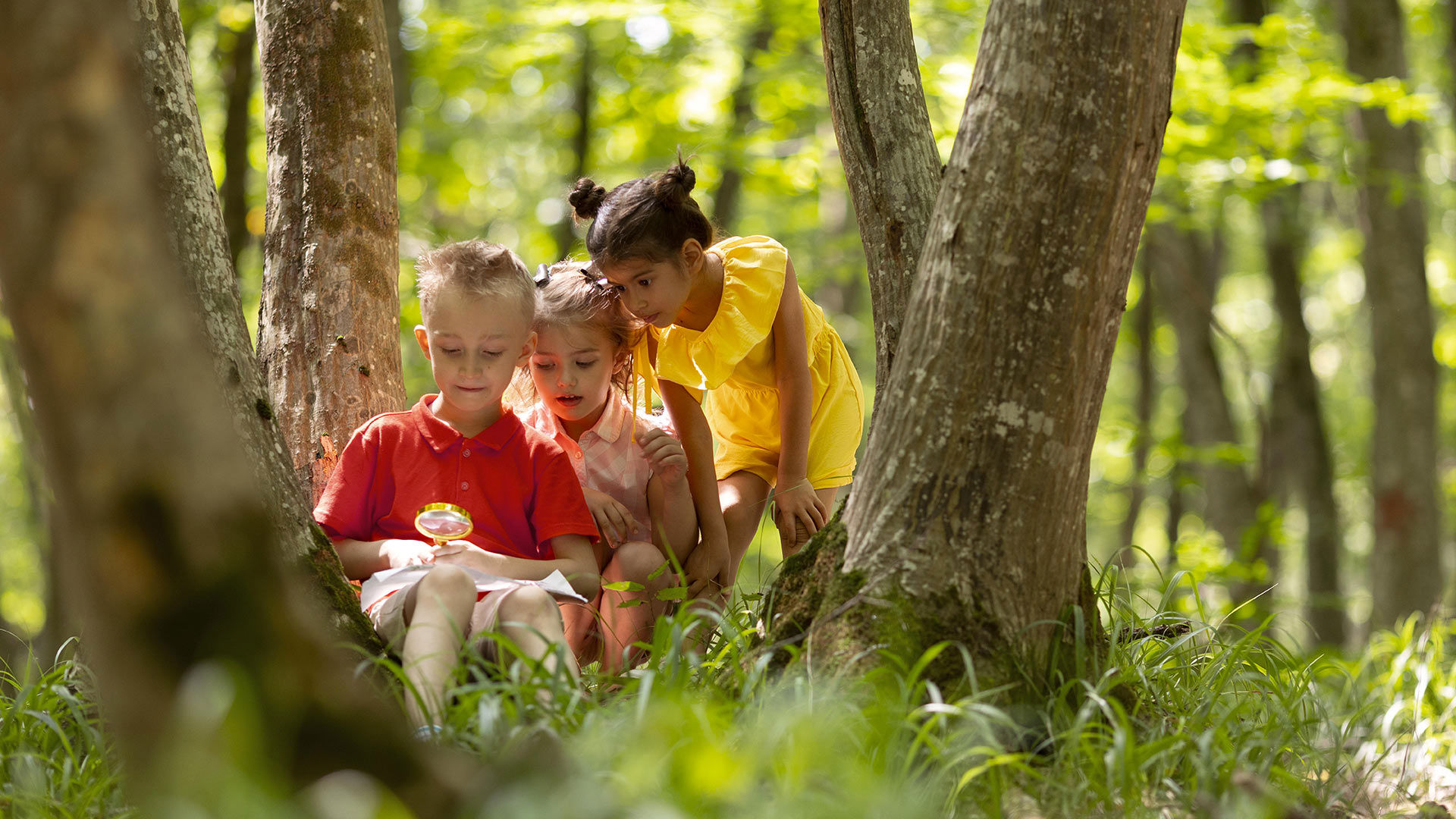 Bosco delle Favole 1