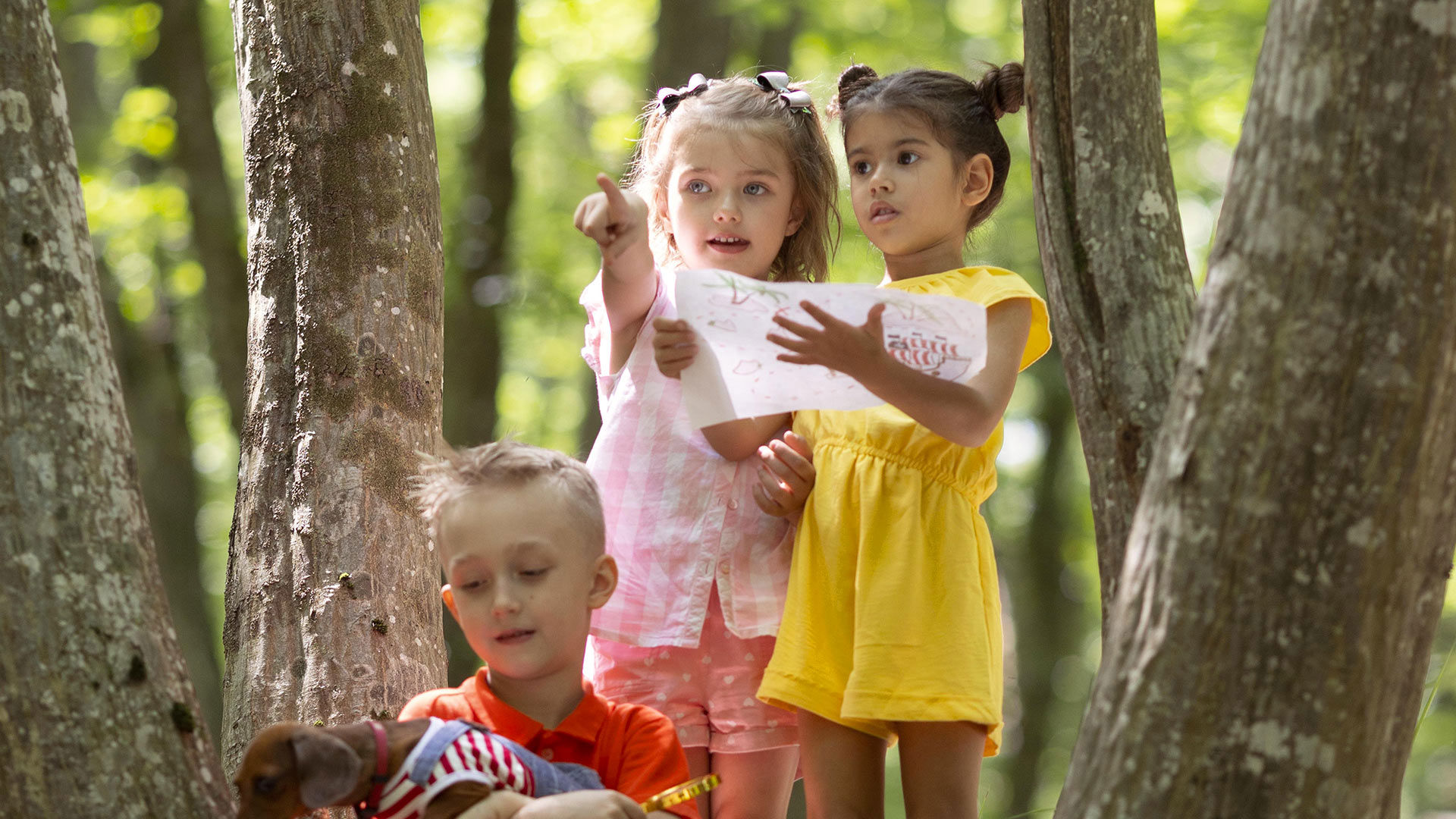 Bosco delle Favole 1