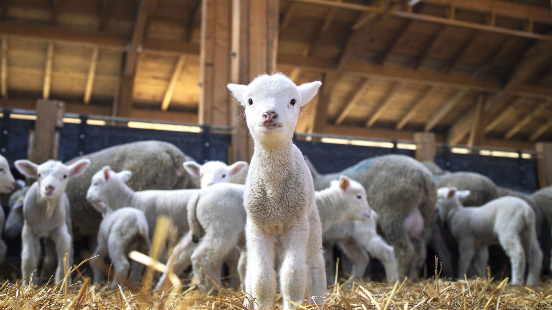 Activities & Experiences 7