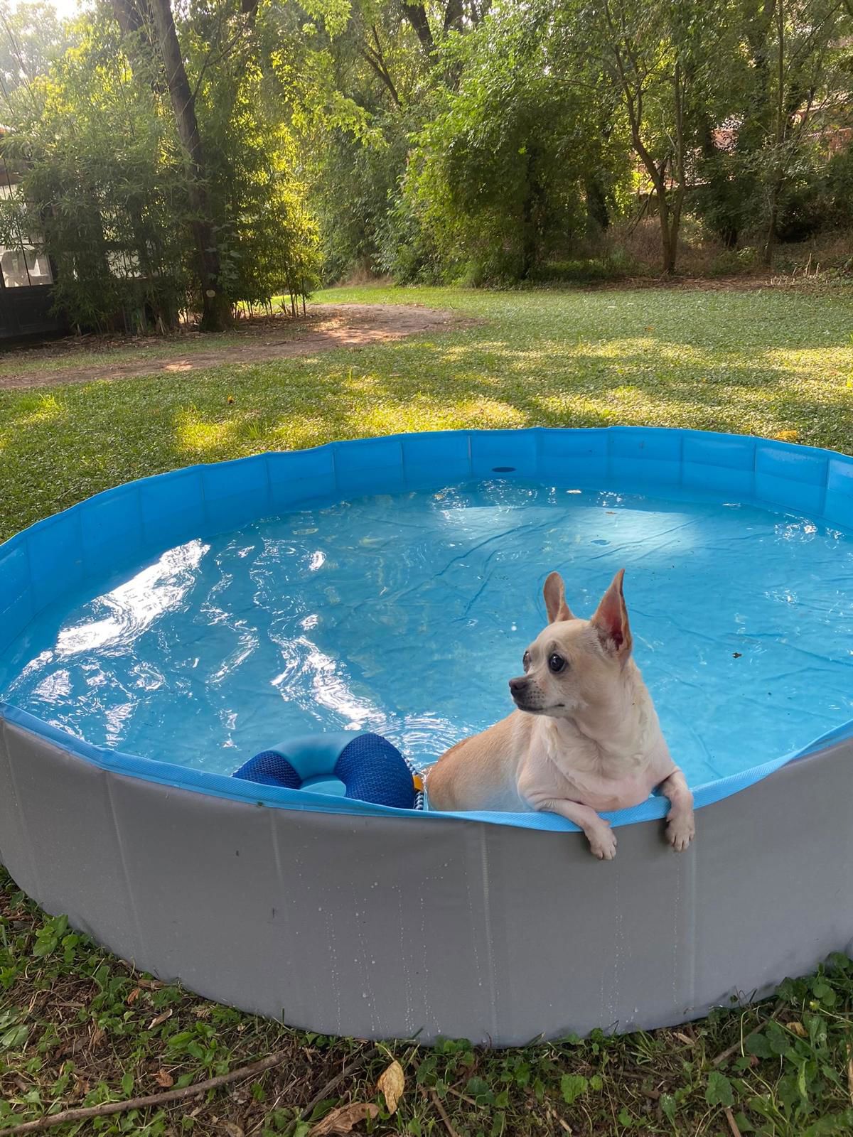 Piscina esterna 22