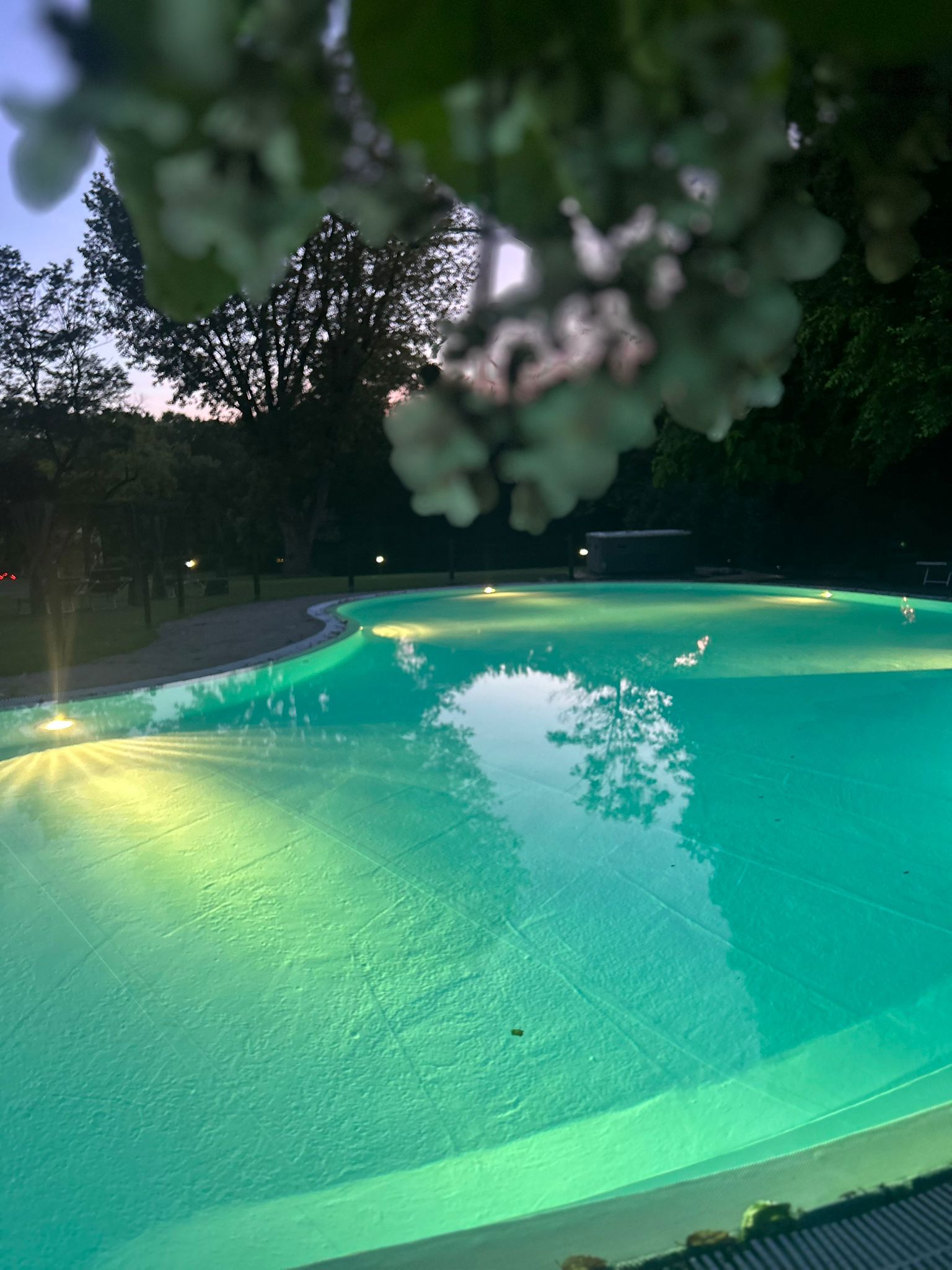 Piscina esterna 8