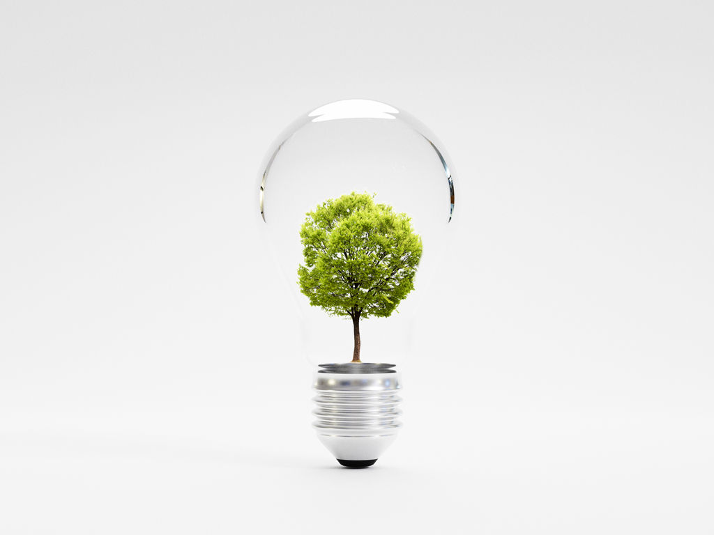 ECO-SOSTENIBILITÀ 2