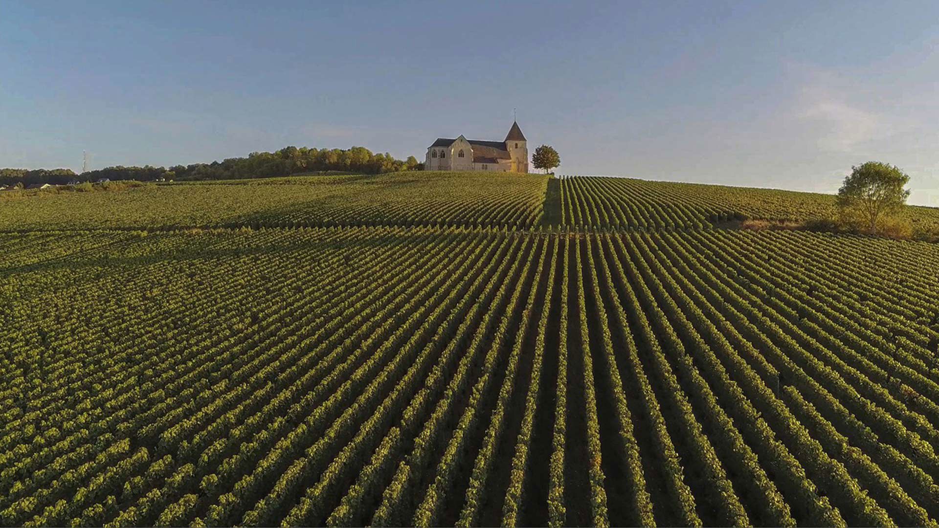 Wine tasting and Lunch on the Lucca Hills 3