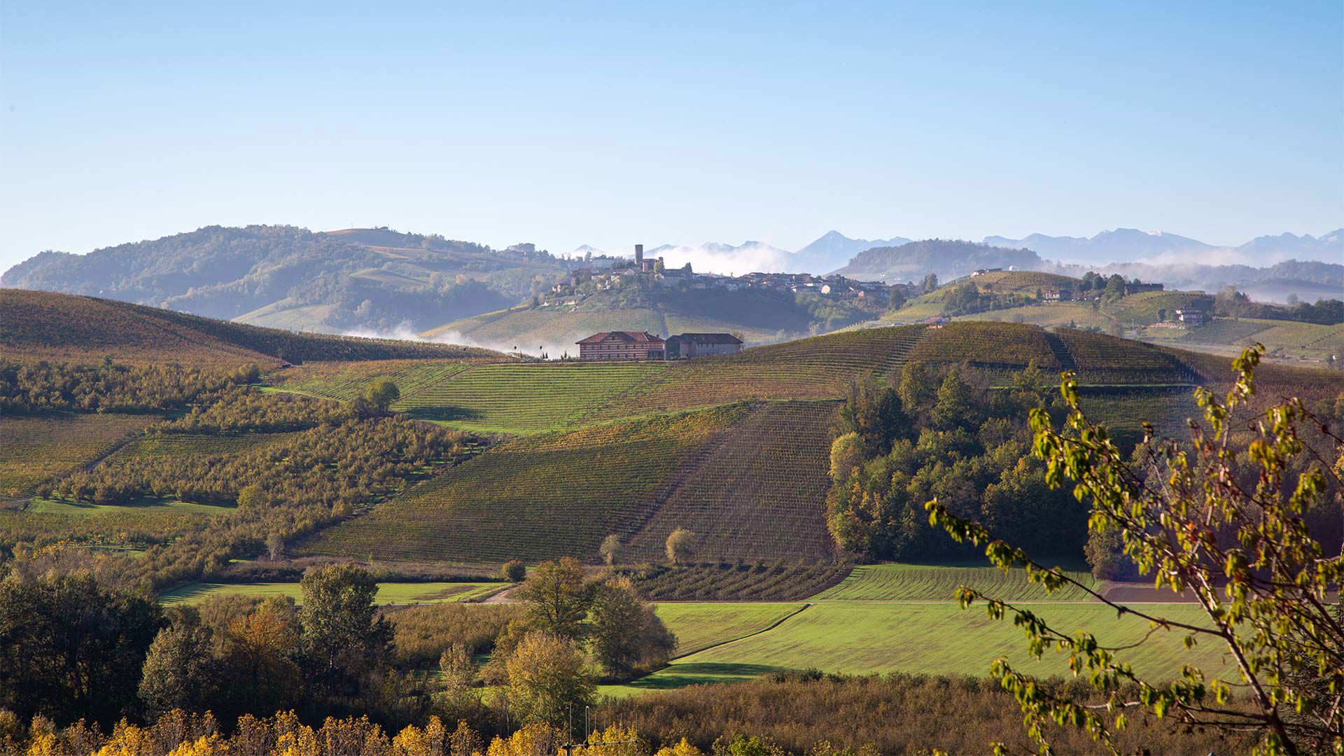 Contatti 2
